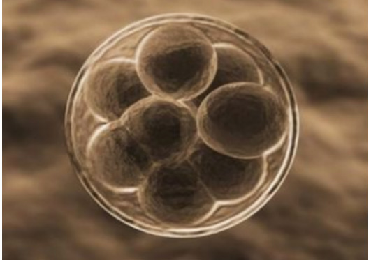 42a1c685511e382554b922eb61c28c1a.jpg a2-2.jpg