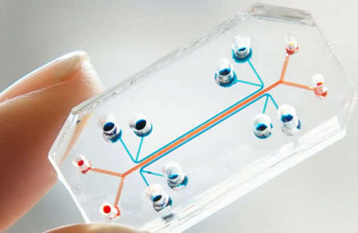 微流体芯片测试及技术原理