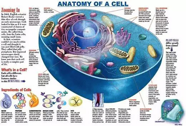 88a1df41395432ecae1b41f074a2f285.jpg a2-3.jpg