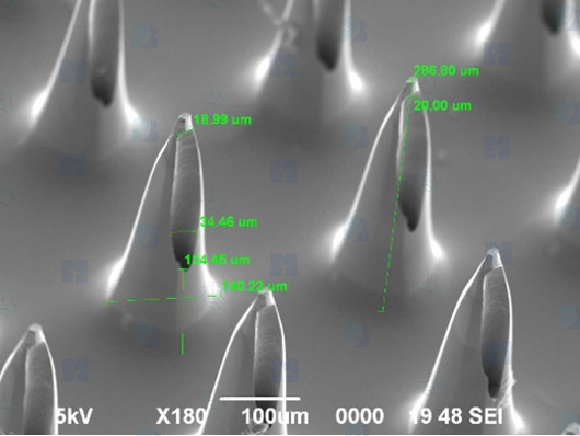 硅微针阵列